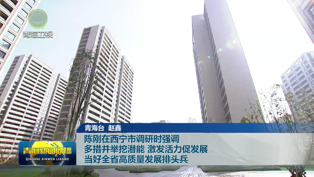 陳剛在西寧市調研時強調 多措并舉挖潛能 激發活力促發展 當好全省高質量發展排頭兵