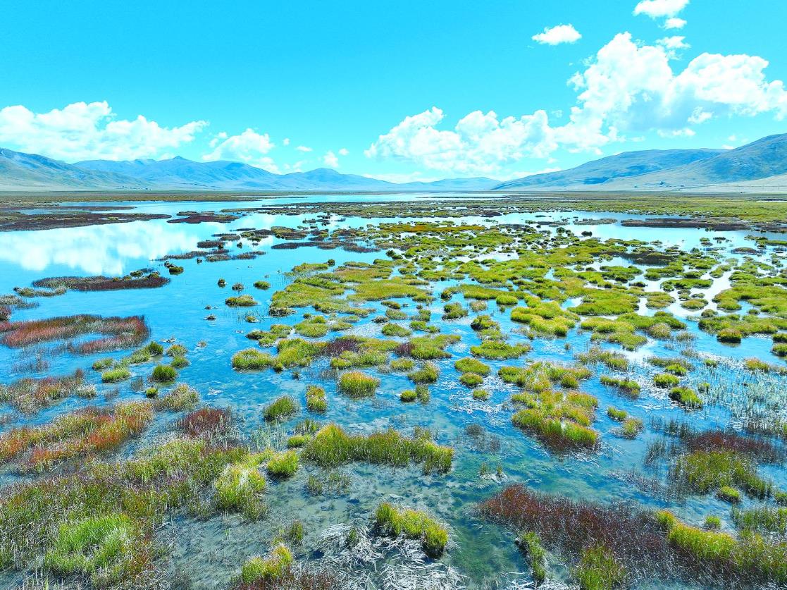 隆寶灘濕地秋景如畫