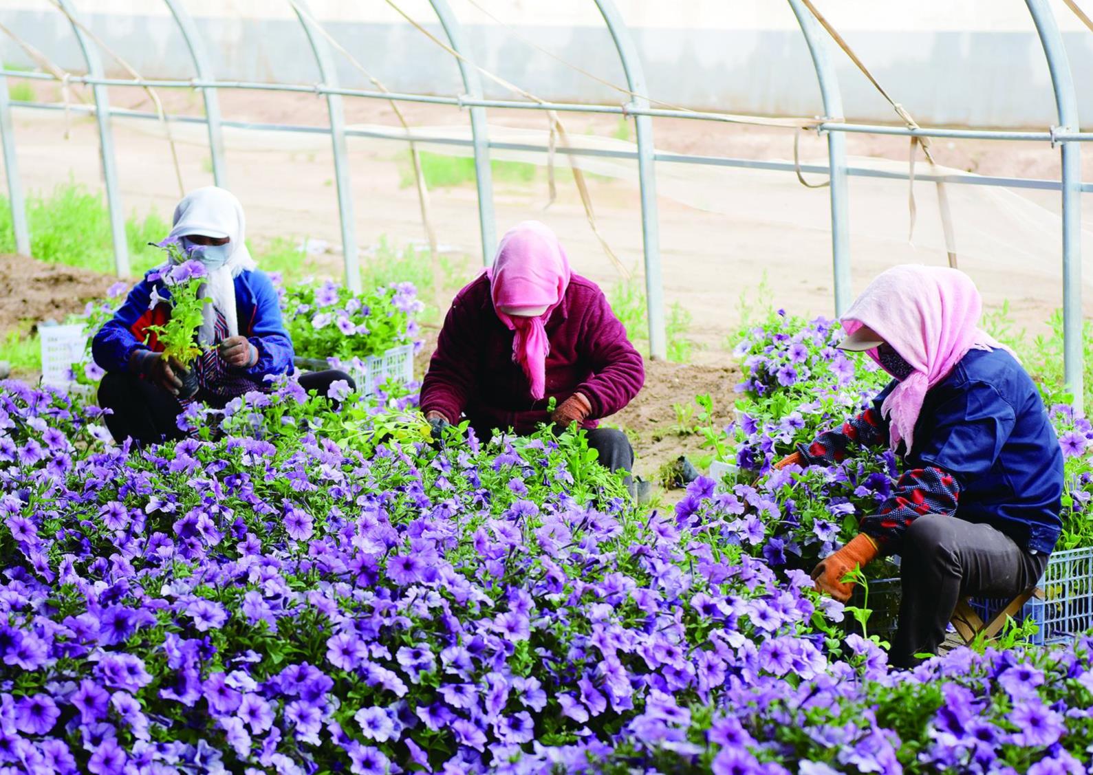 360截圖20241014082723554