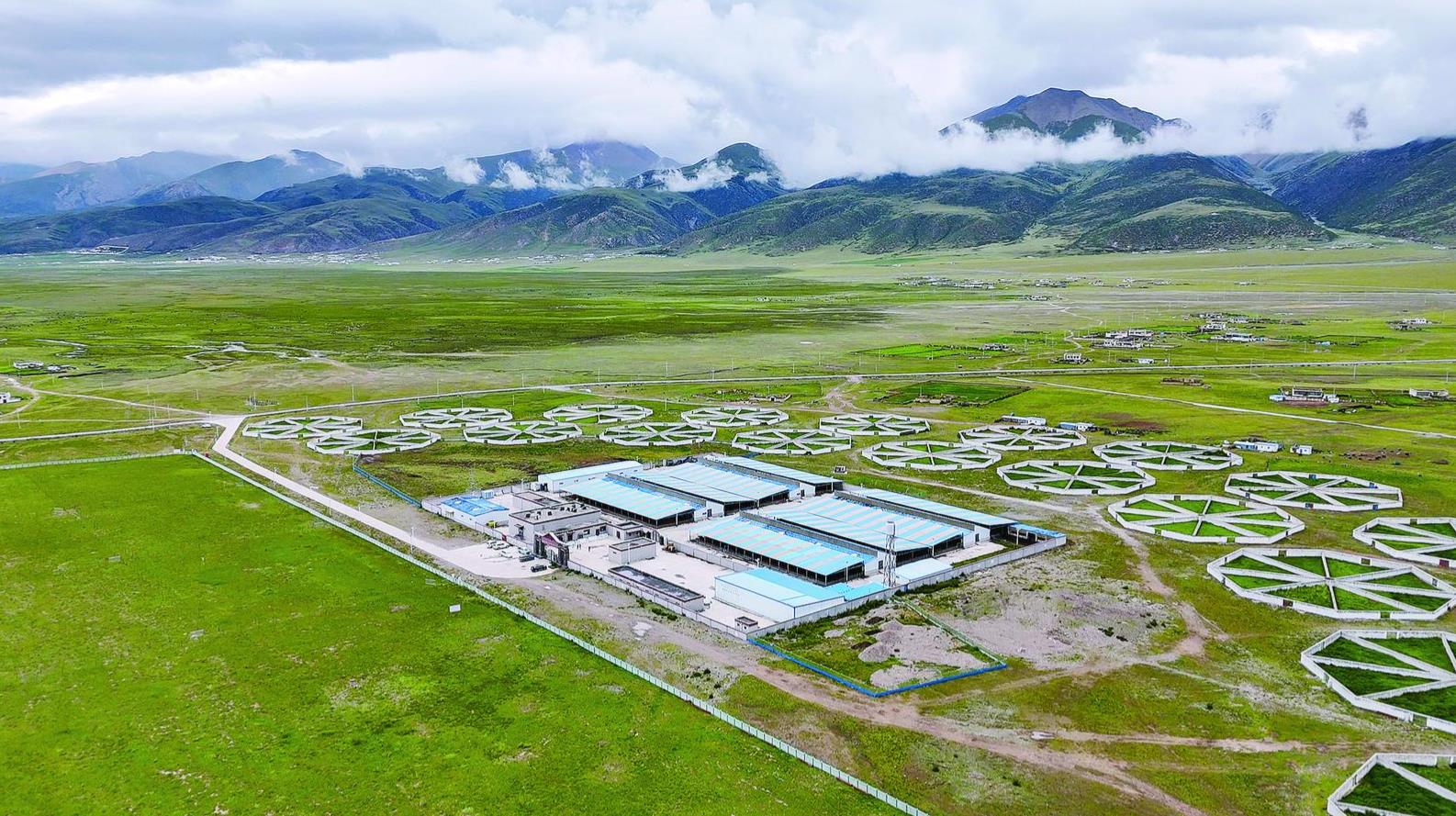 【大道向前 天路放歌——紀(jì)念“兩路”通車70周年】郭慶:一條路延伸出“牛”日子