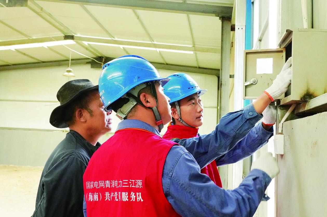 電力護(hù)航“青字號”品牌