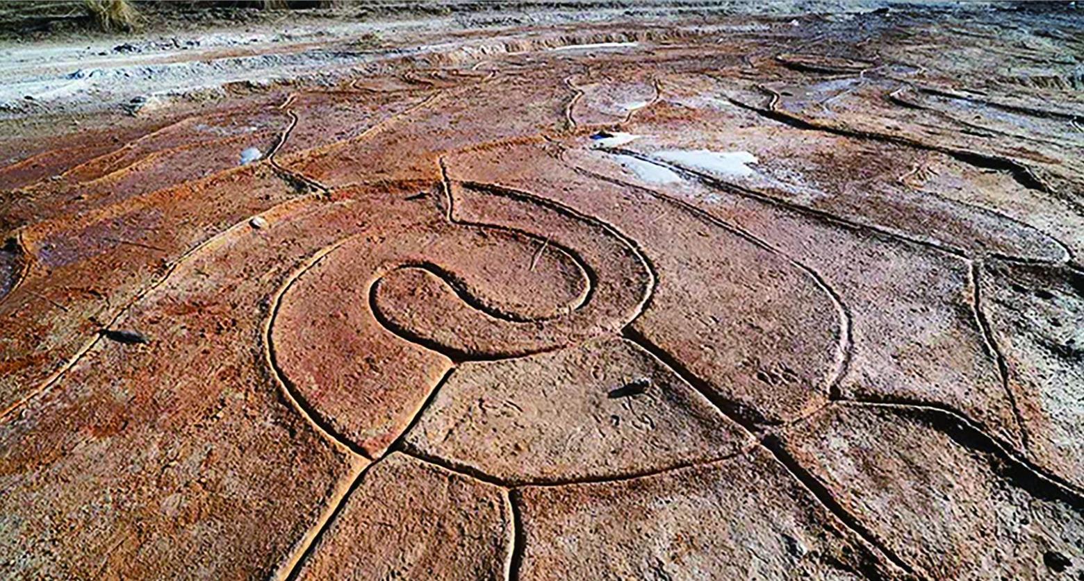 青海海東:一眼清泉淌出的返鄉創業路
