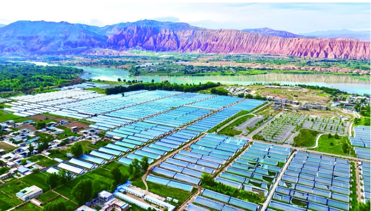 【記者觀察】青海循化:查汗都斯鄉特色產業多點開花