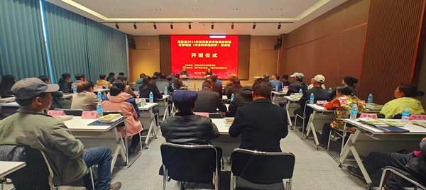 微信圖片_20241025131613_副本