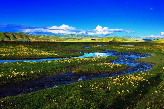 微信圖片_20241101103408