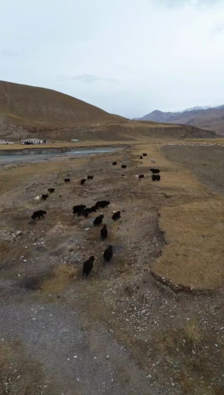 微信圖片_20241105162026