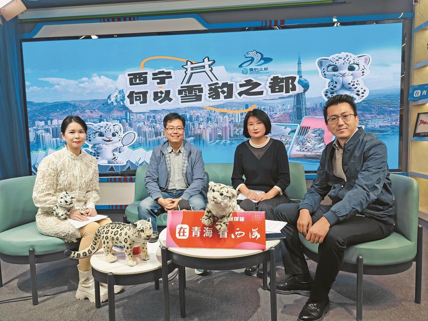 青海西寧何以成為雪豹之都