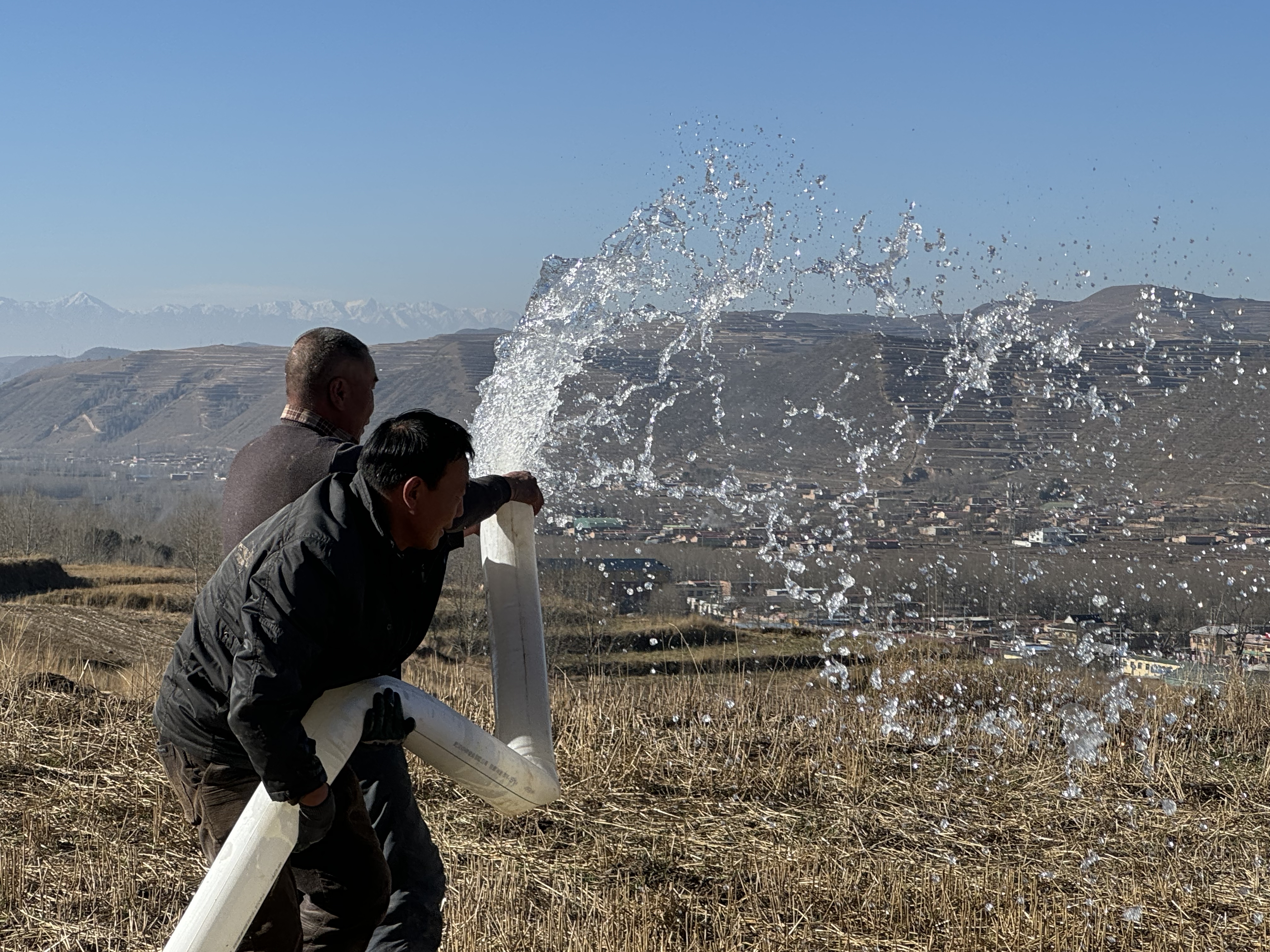 微信圖片_20241112150500