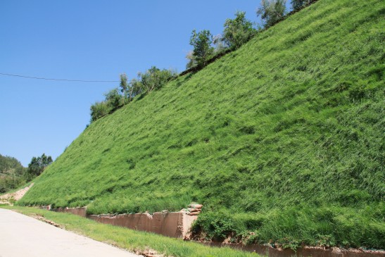 微信圖片_20241115100355