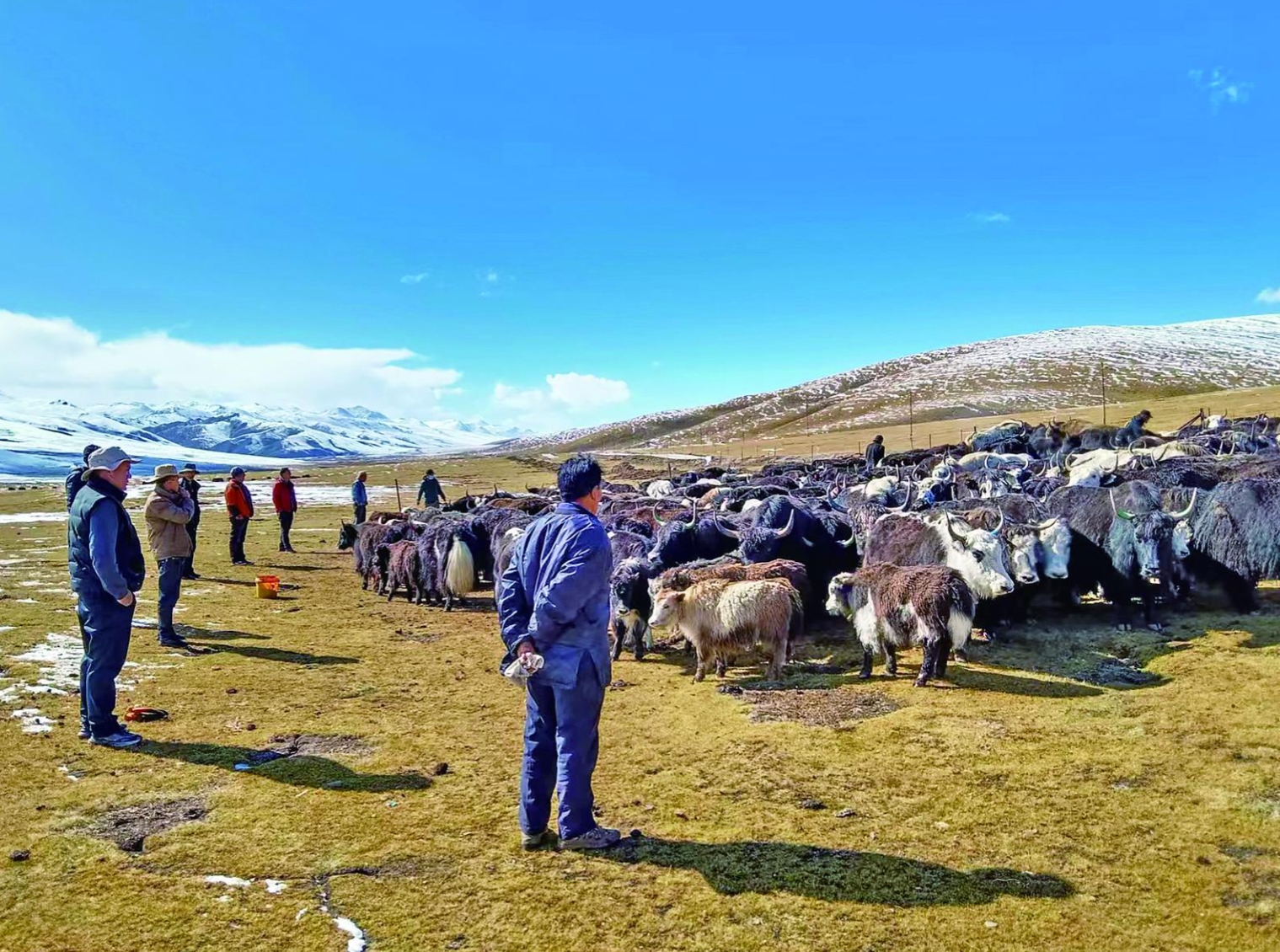 hڻһ(xin)߸hP(yng)hӳtd·