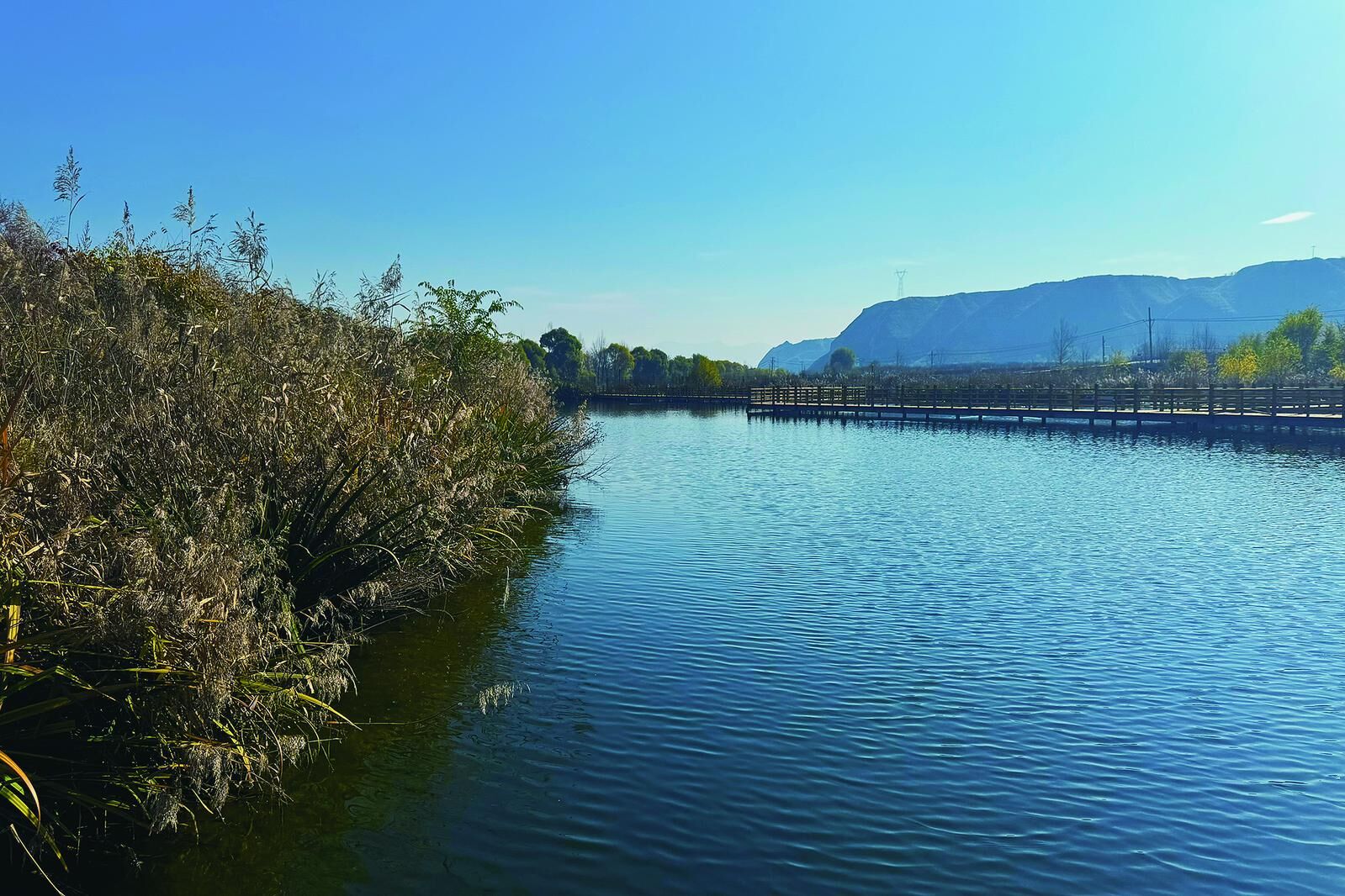 【經濟聚焦】污水處理的樂都實踐