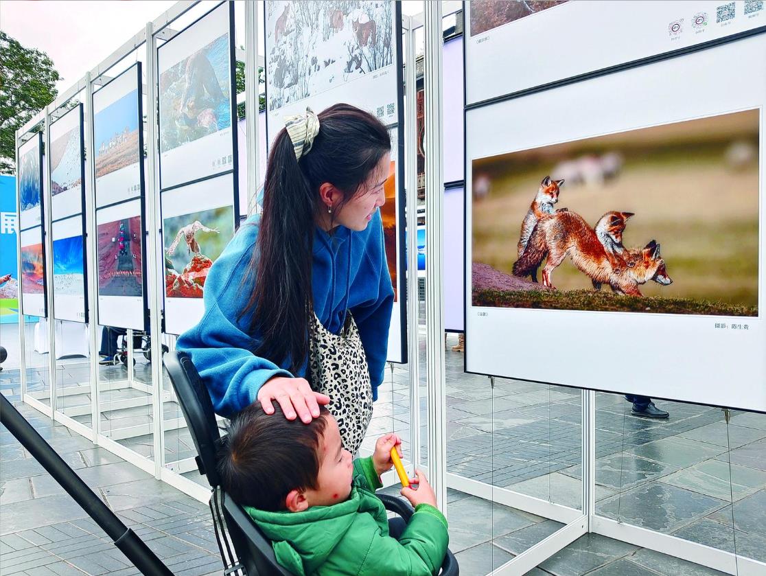 “山宗水源 大美青海”第二屆中國野生動物攝影大展開幕