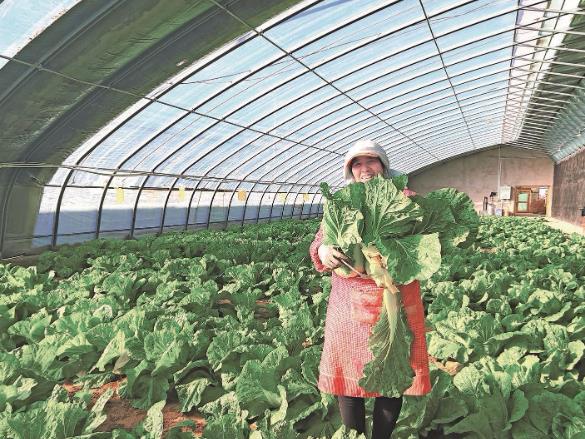 青海海西:“后進村”到“明星村”的蝶變密碼