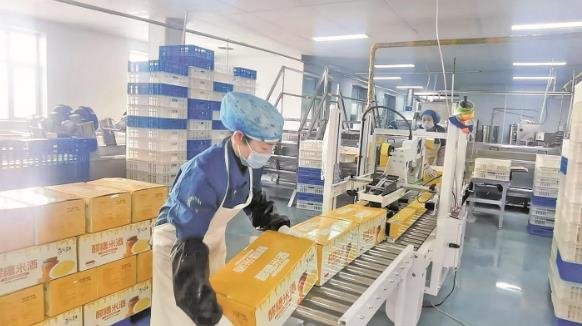 青海湟中新增一條醪糟生產線