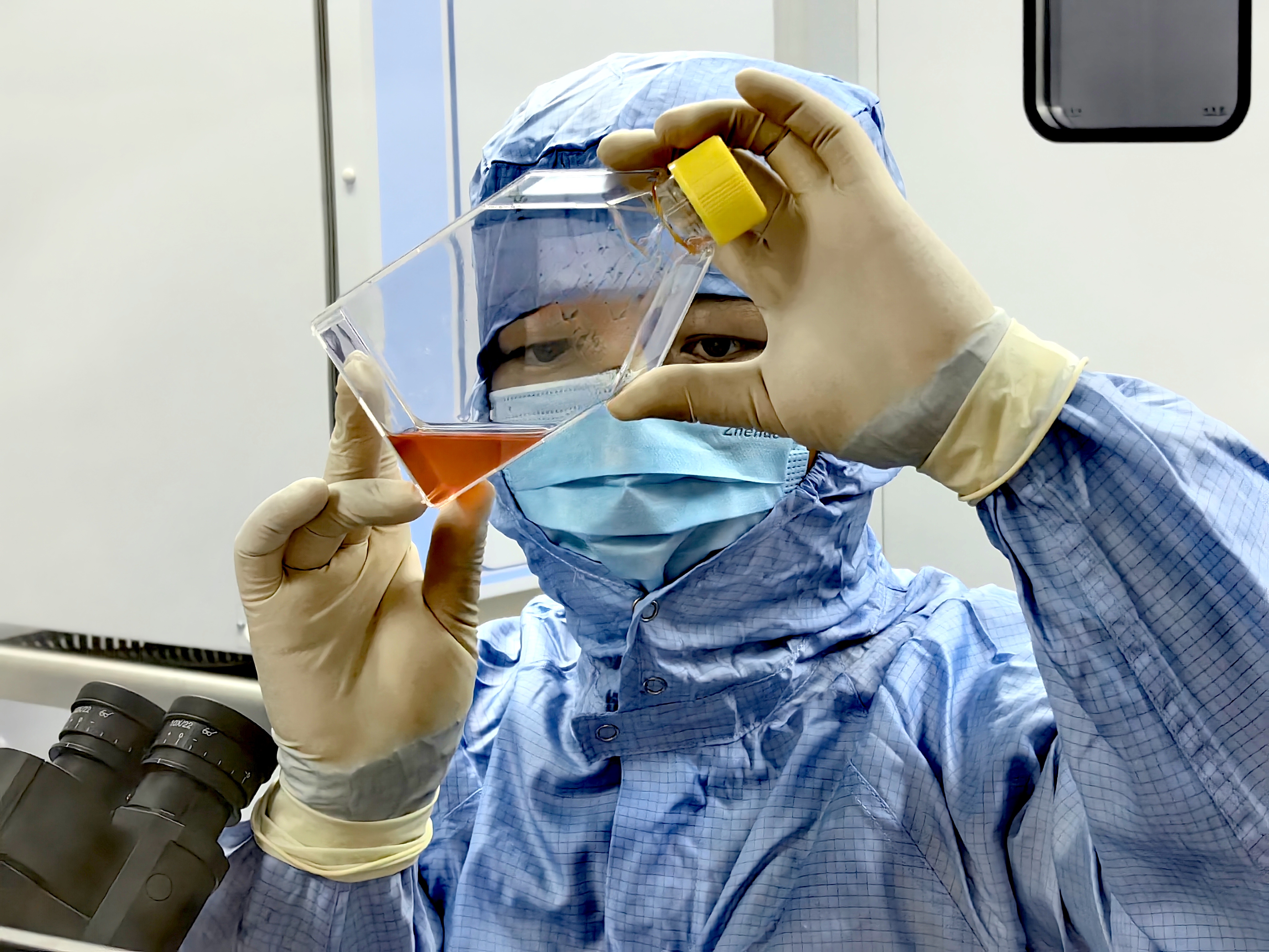 微信圖片_20241122103244