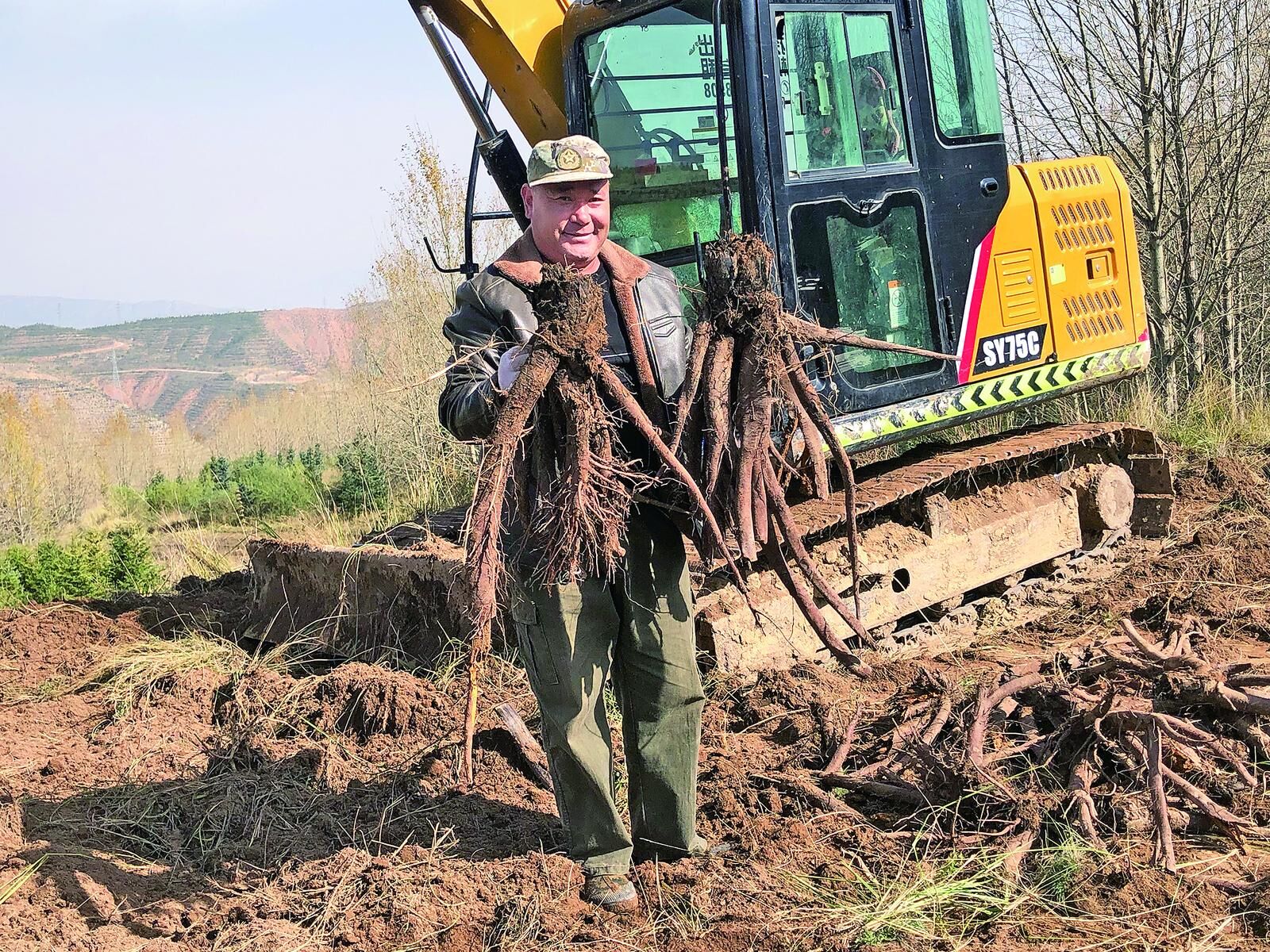 【鄉(xiāng)村振興在青海】彭家寨鎮(zhèn)大黃豐收了