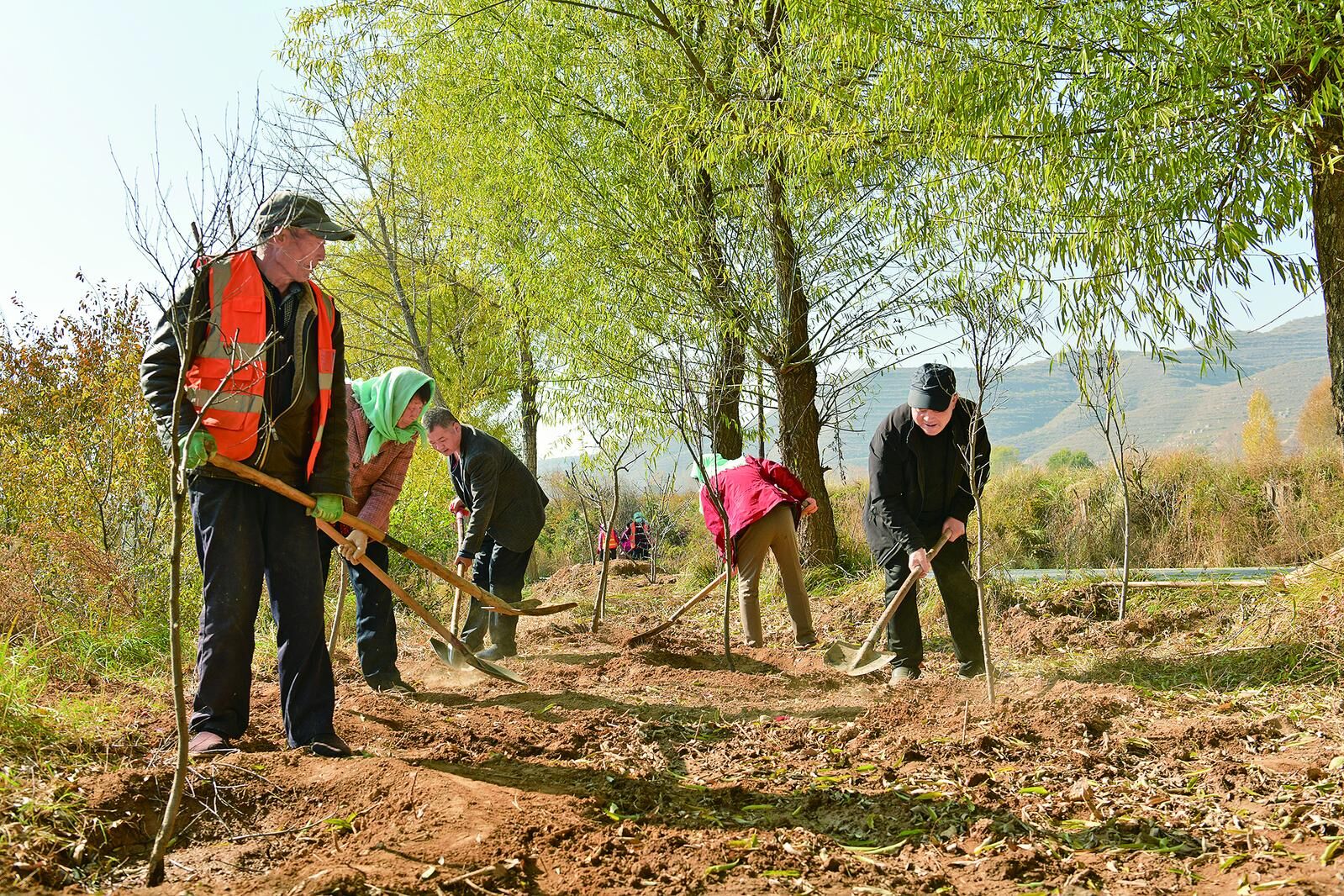 【鄉村振興在青海】良田有良用 守護“飯碗田”