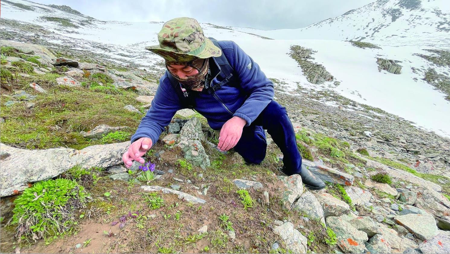 【鑄牢共同體 中華一家親】草原“曼巴”的仁心仁術(shù)——青海民族團(tuán)結(jié)進(jìn)步典型事跡系列報(bào)道之十九