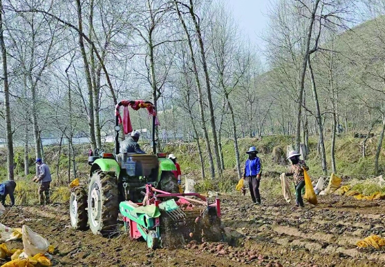 【奮力譜寫中國式現(xiàn)代化青海篇章·鄉(xiāng)村振興在青海】“金蛋蛋”點亮鄉(xiāng)村振興之路