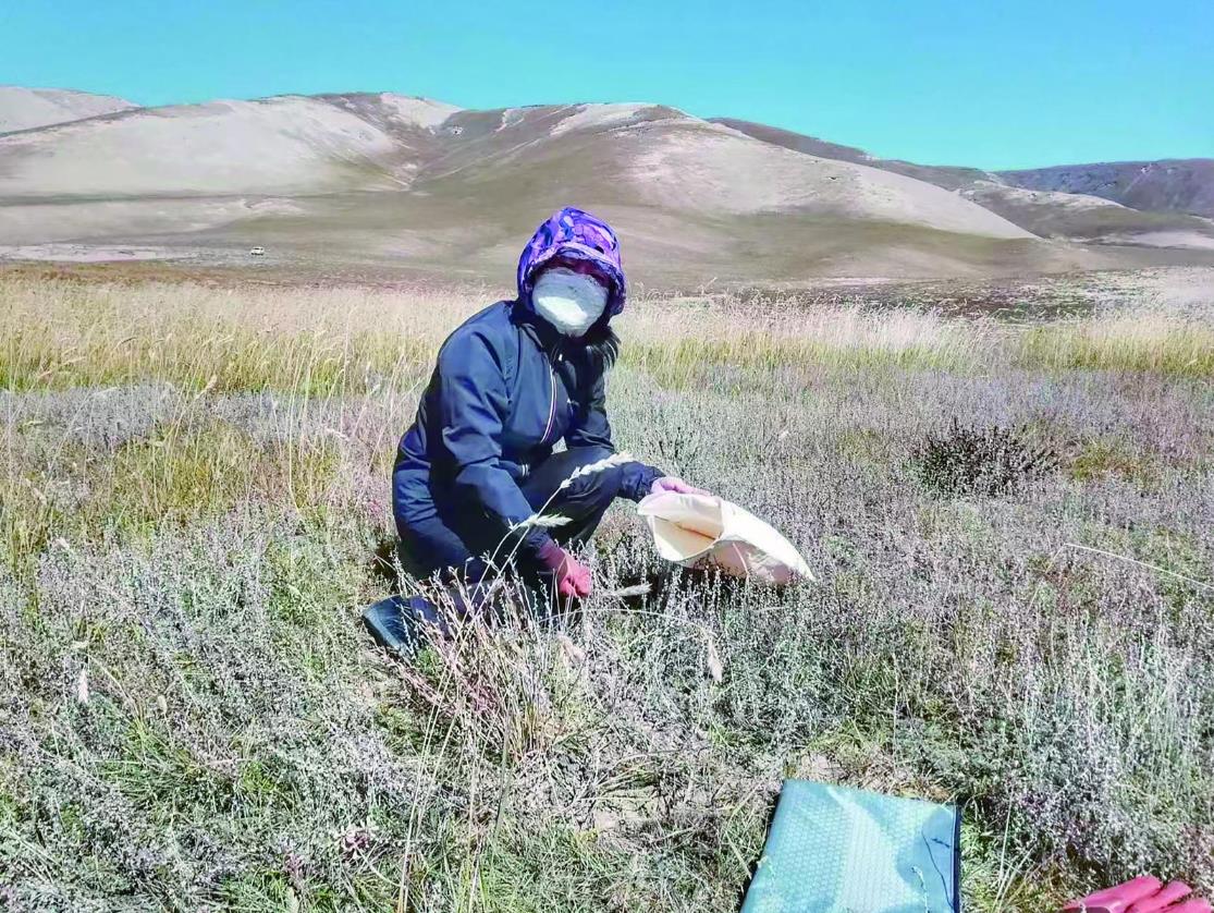 【身邊的感動】尊重每個機會 走好腳下每一步路——記2024年敬業(yè)奉獻“青海好人”鄧艷芳