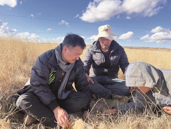 “草原曼巴”的綠色堅守