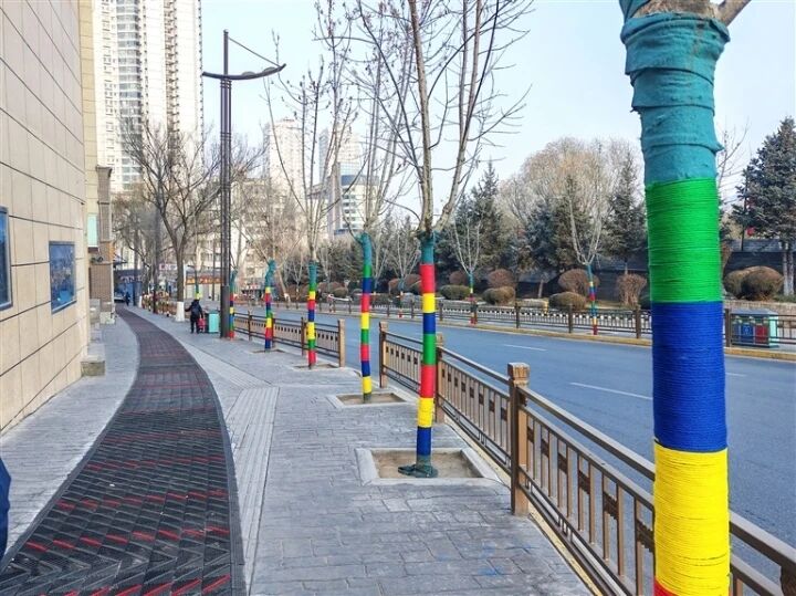 街頭行道樹穿上彩色“毛衣”