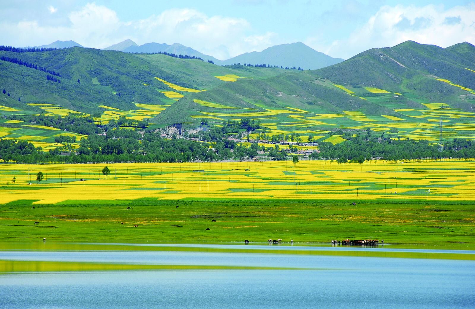 以政協之“能”助力傳統生態理念賦能現代生態保護