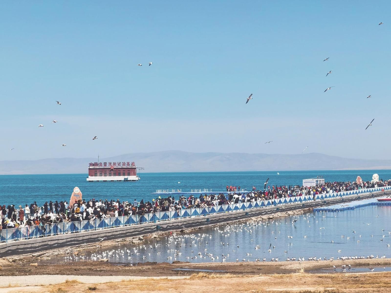 預計今年全省旅游總收入516億元