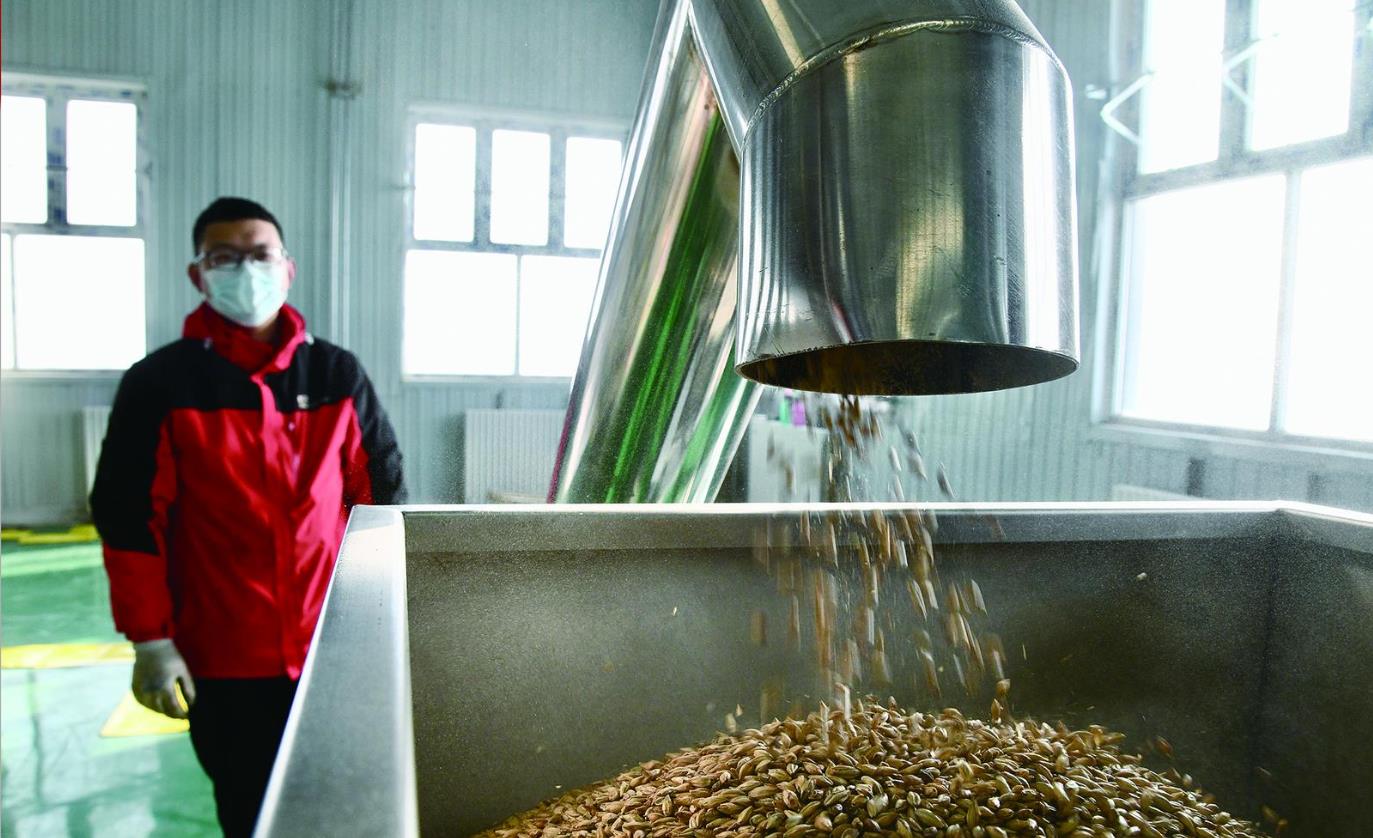 青海門源:精釀啤酒折射出土特產的含金量