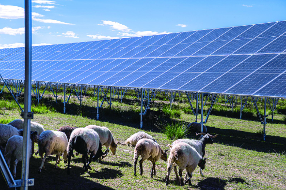 一片光伏板帶來的“三重效益”——走進海南州創新示范區·一線故事①
