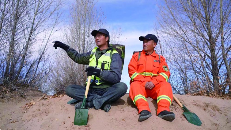 青海都蘭:“森防衛士”守護山林