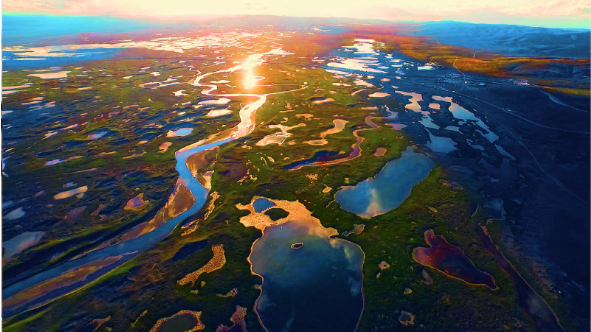 濕地,青海靚麗的風景線