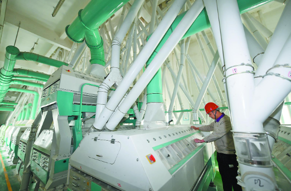 智能生產(chǎn)賦能糧食加工 繪就產(chǎn)業(yè)新圖景