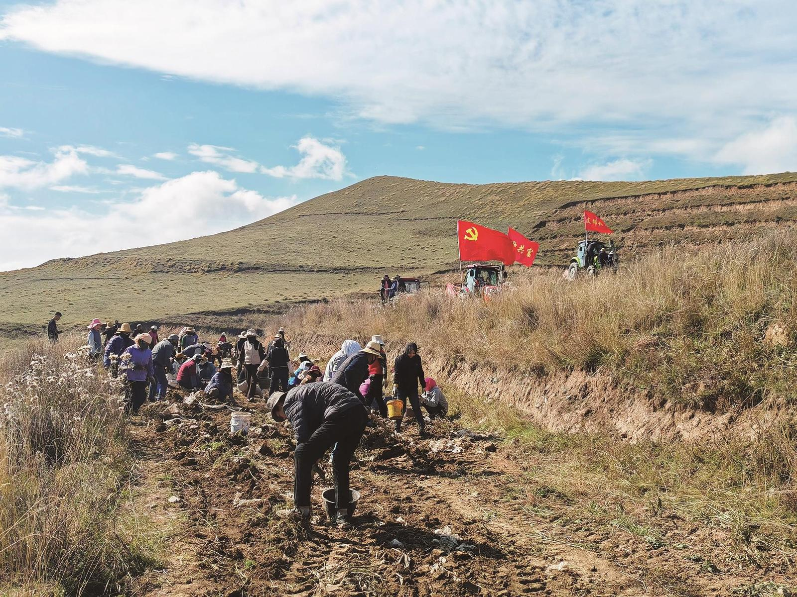 【牢記囑托 實(shí)干篤行】化隆:村民成股東 統(tǒng)種齊致富
