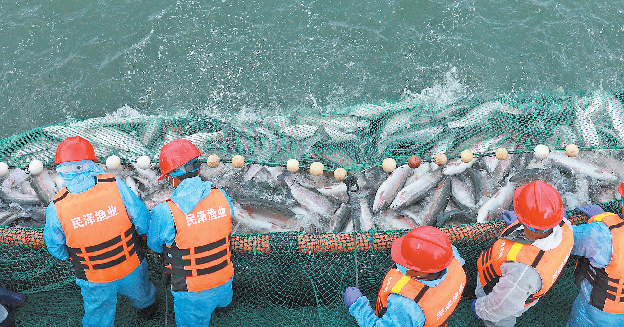 【經濟聚焦】魚躍高原 游向世界