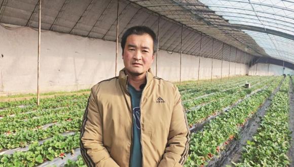 霍成文:讓高原草莓走向全國