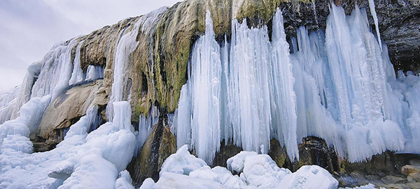 QQ截圖20250203063457