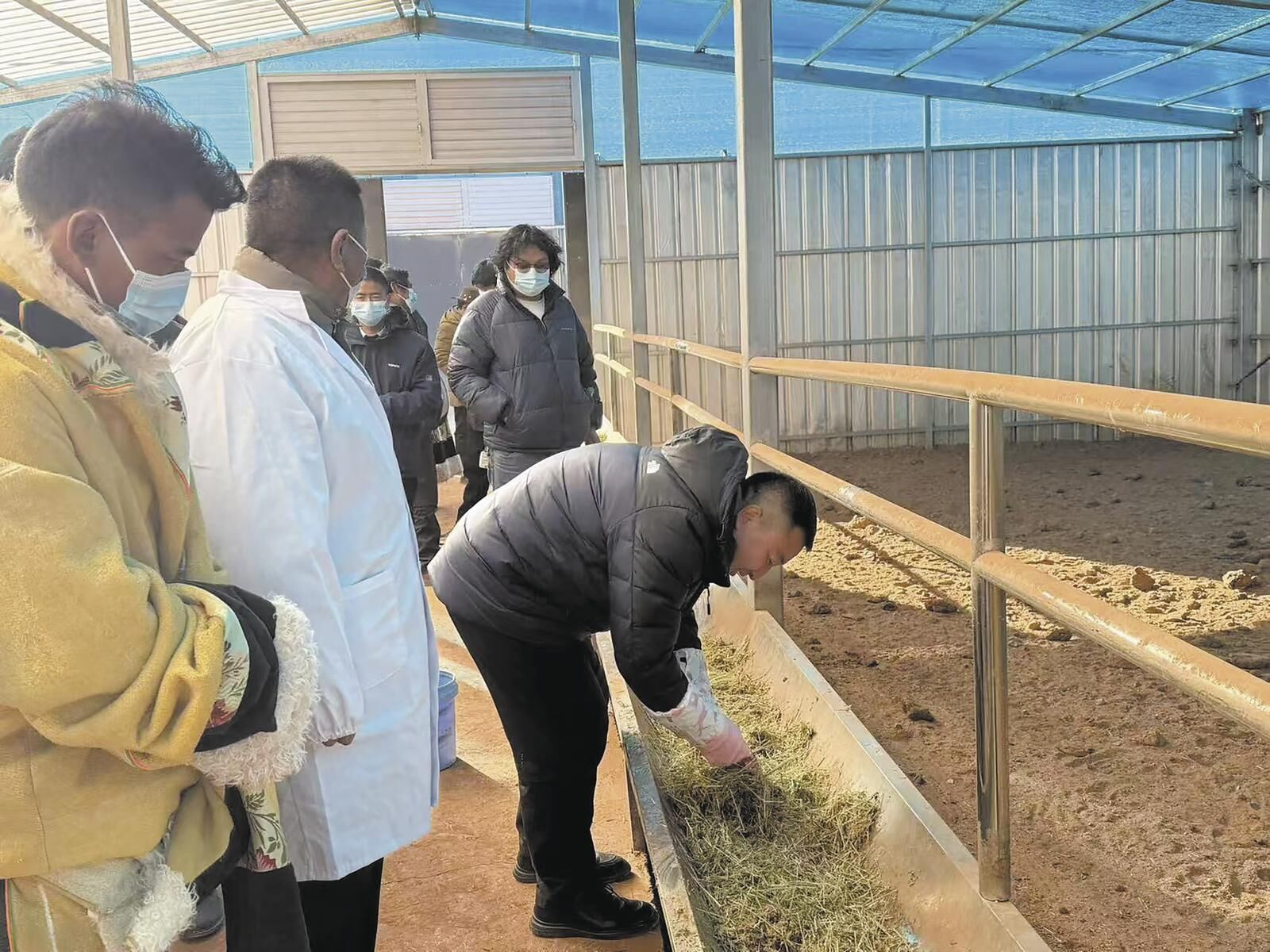 【農(nóng)經(jīng)觀察】科技創(chuàng)新平臺——高原農(nóng)牧業(yè)發(fā)展新“引擎”