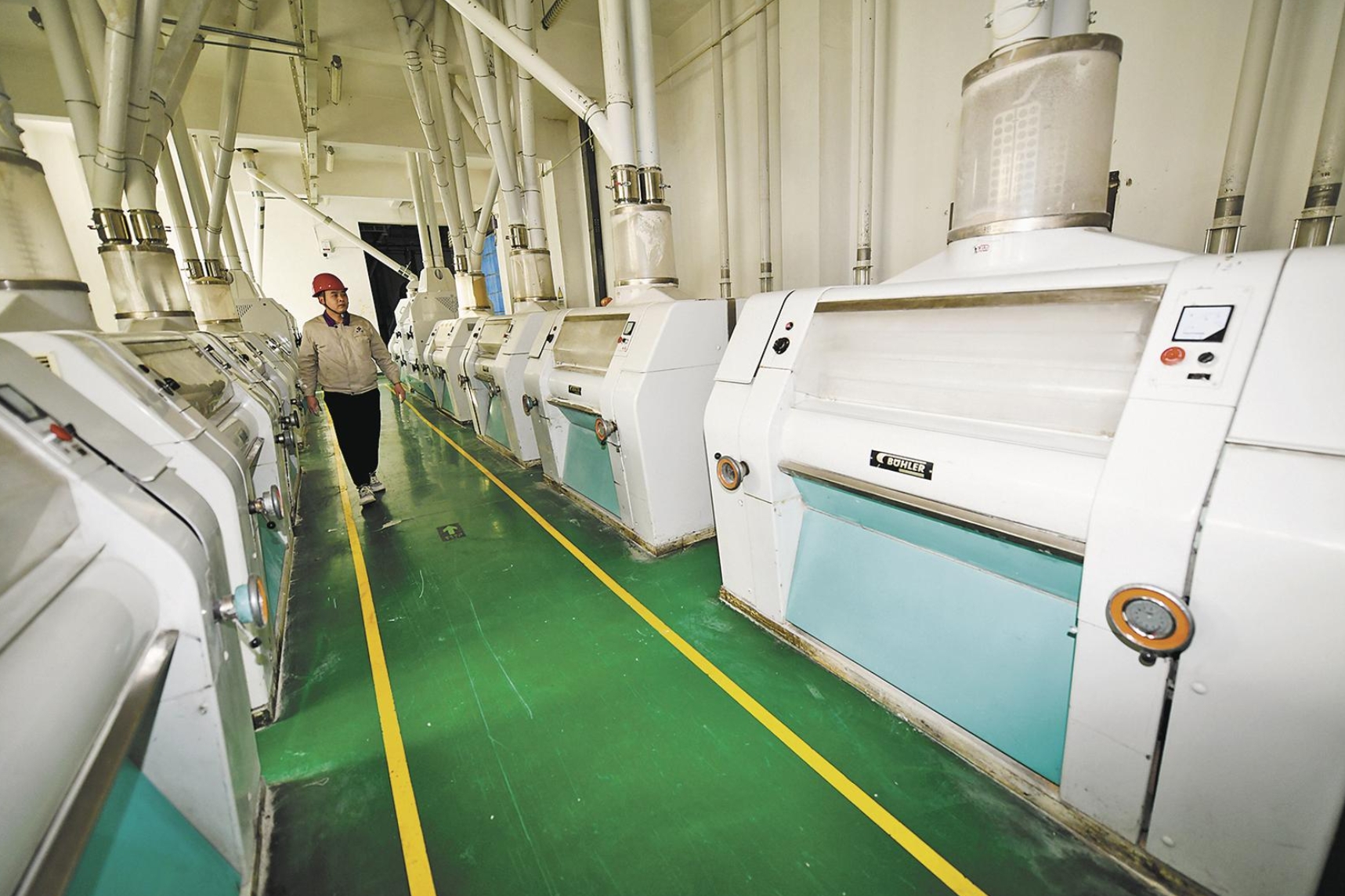 微信截圖_20250216094900