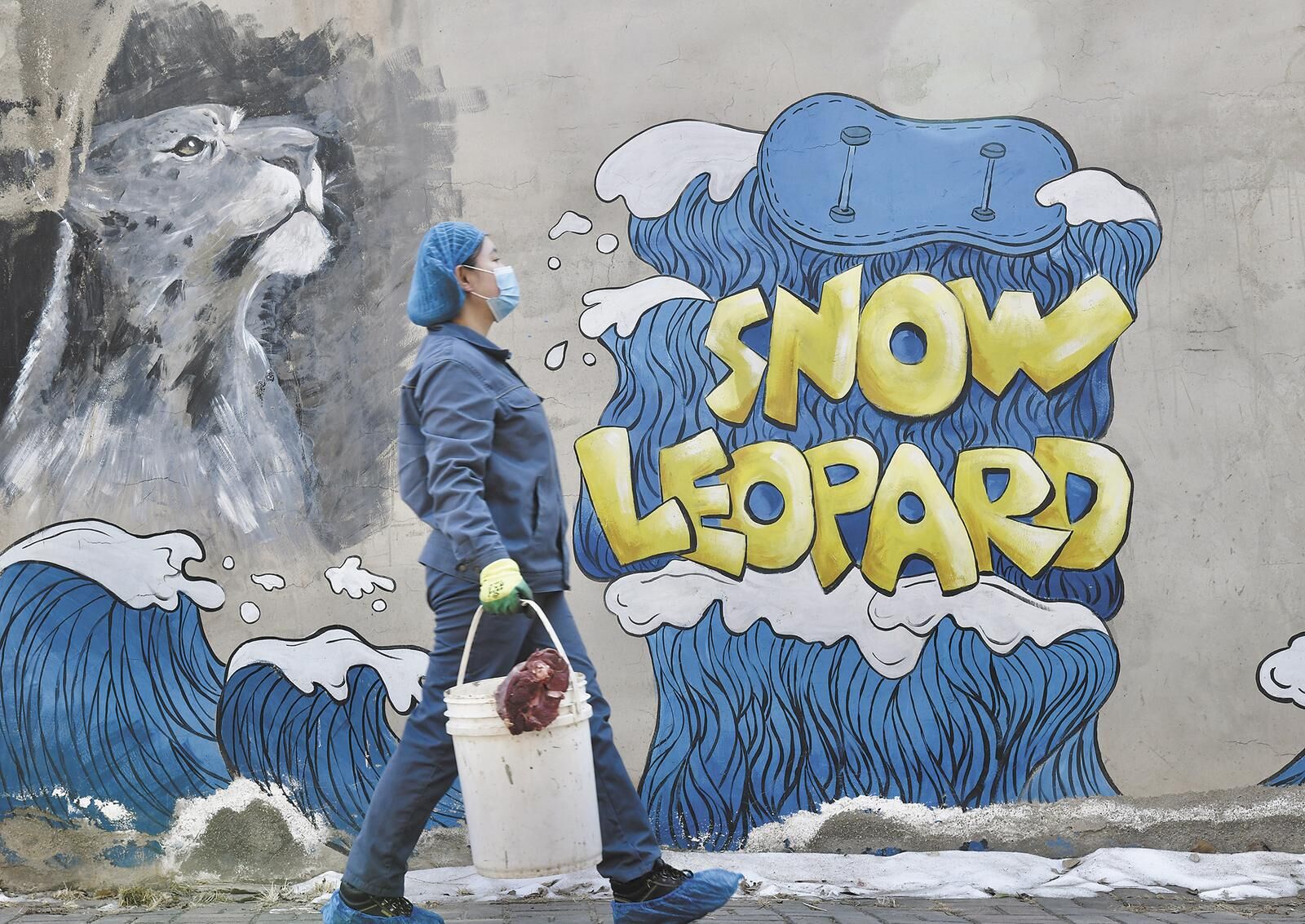 雪豹情緣 溫暖守護