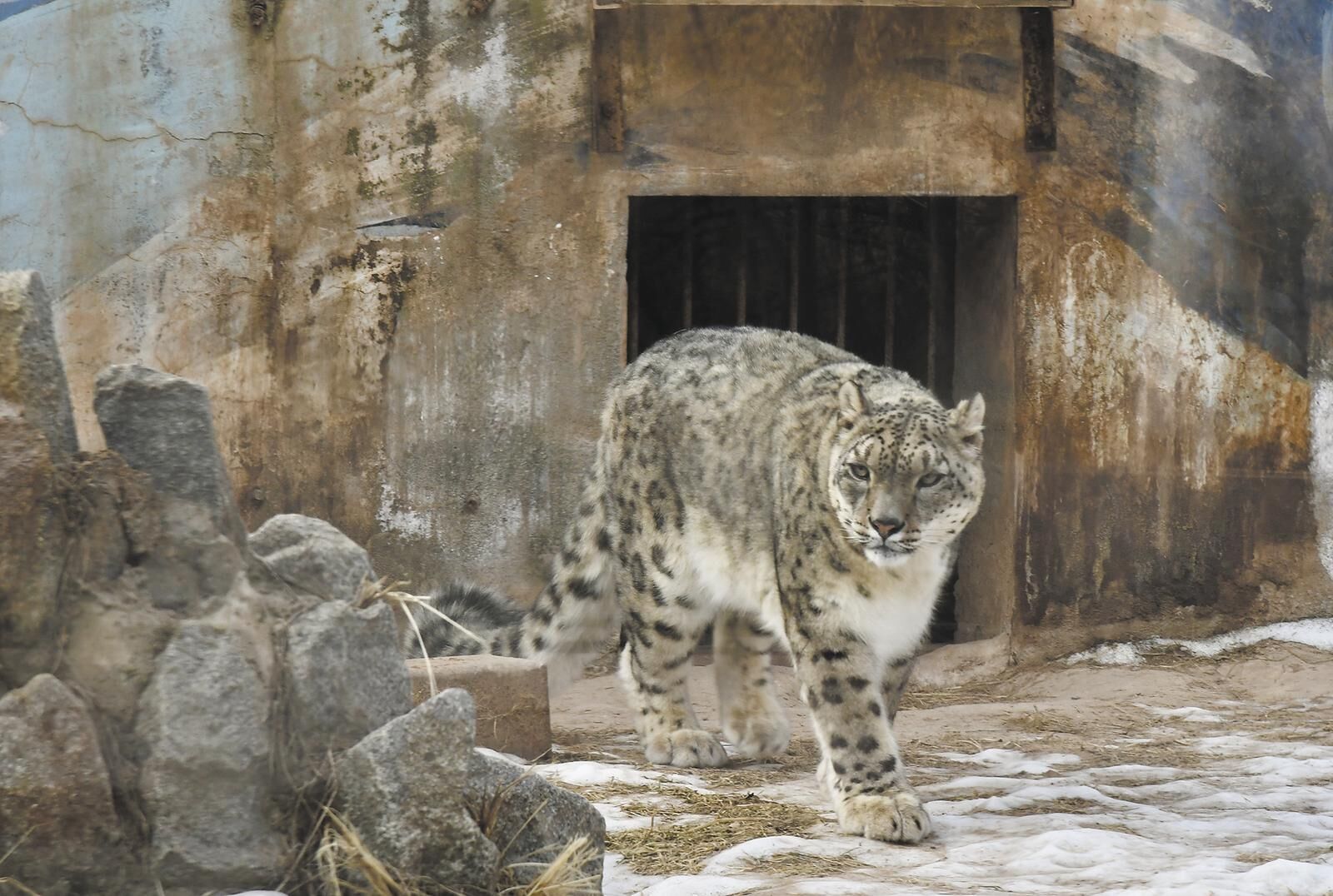 QQ圖片20250219061839