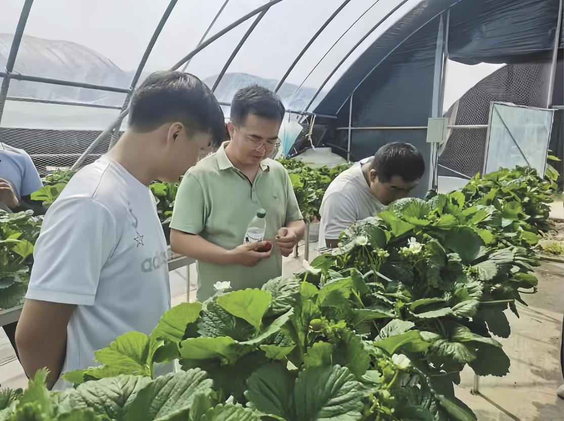 【報效祖國 建功西部】扎根基層 綻放奮斗之花——記西寧市湟中區(qū)委組織部副部長馬瑞