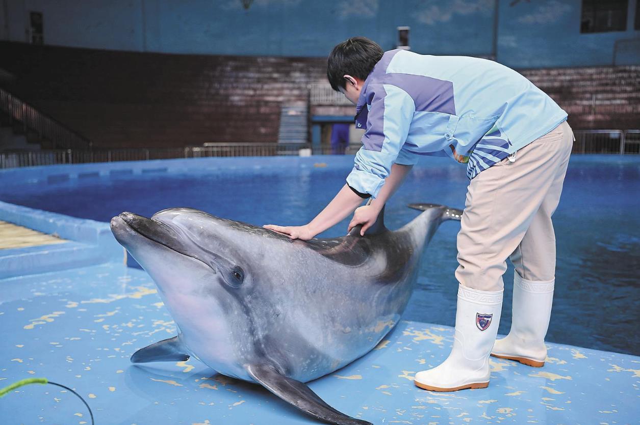 青海西寧:海洋館迎來動物大體檢