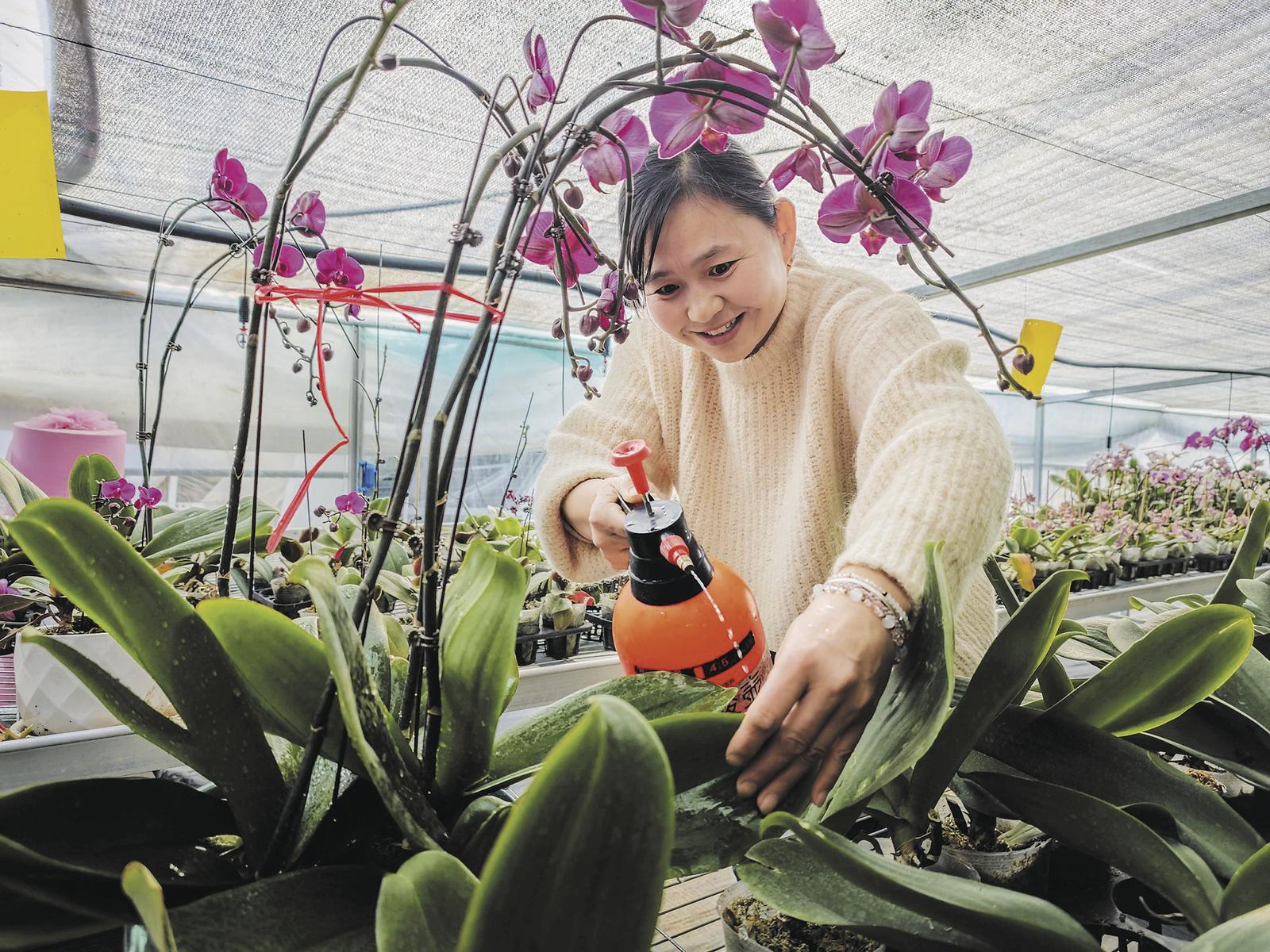 微信圖片_20250223062312