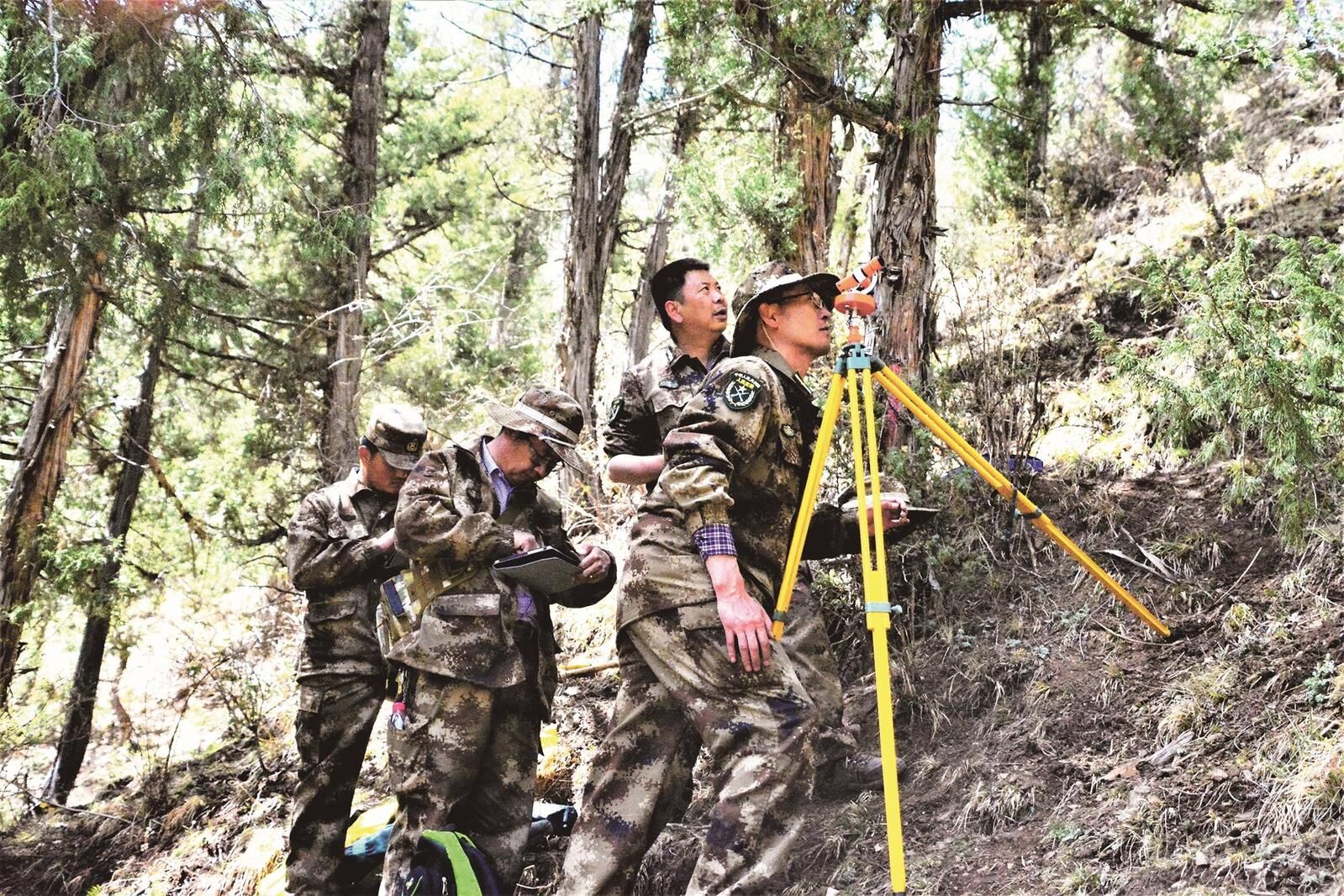 QQ�DƬ20250227063740