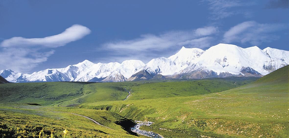 【兩會特別報道】守護“中華水塔” 書寫綠色答卷