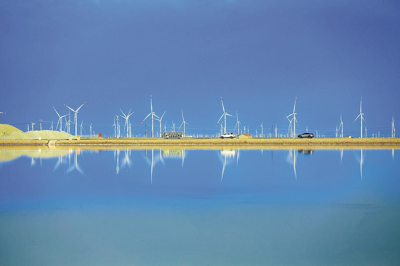 “美美與共”生態畫卷鋪展開來