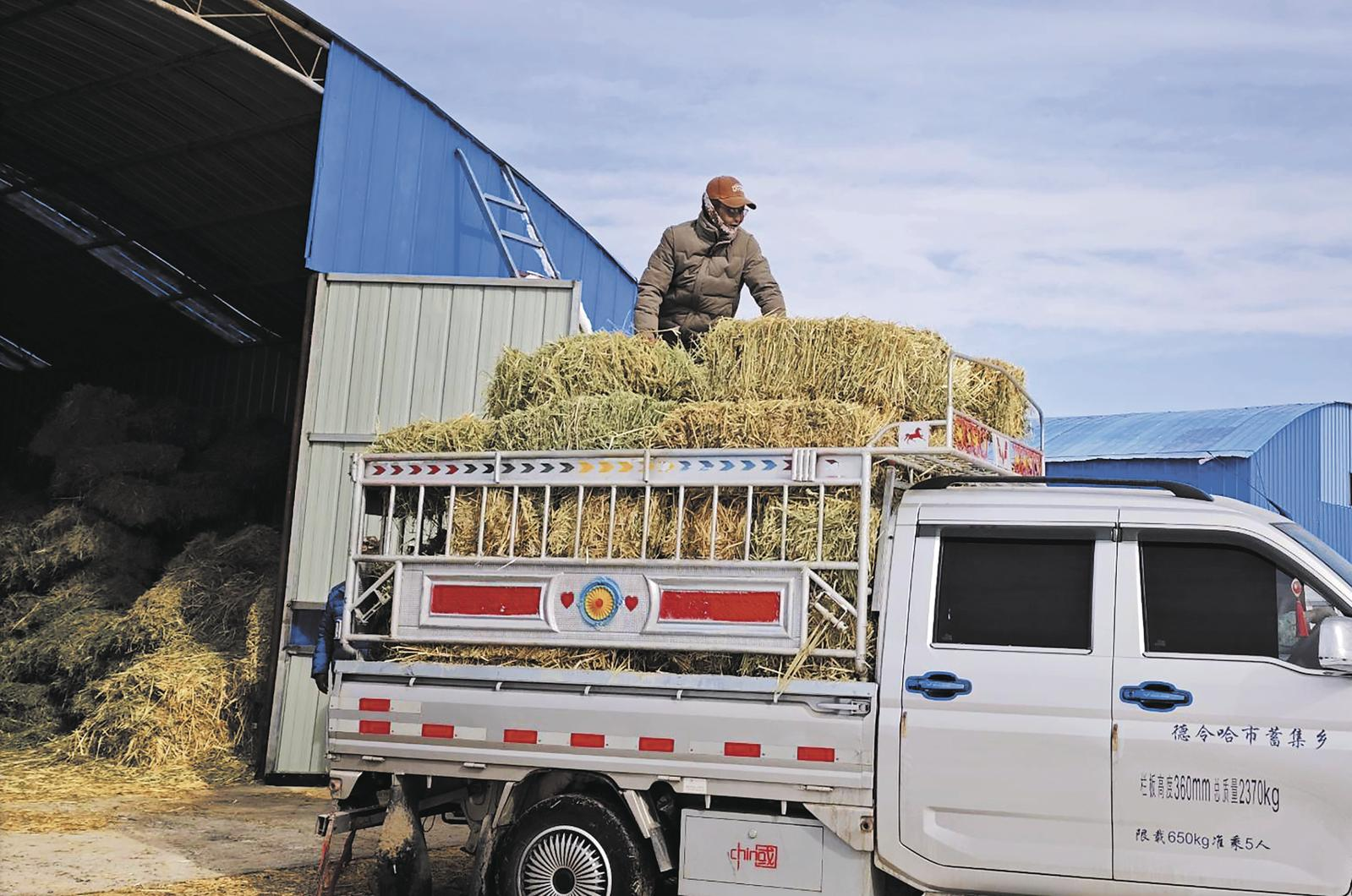 微信圖片_20250316061906