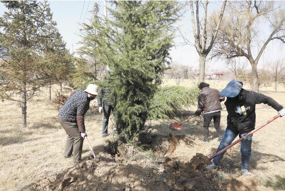 青海民和開啟春季綠化序幕