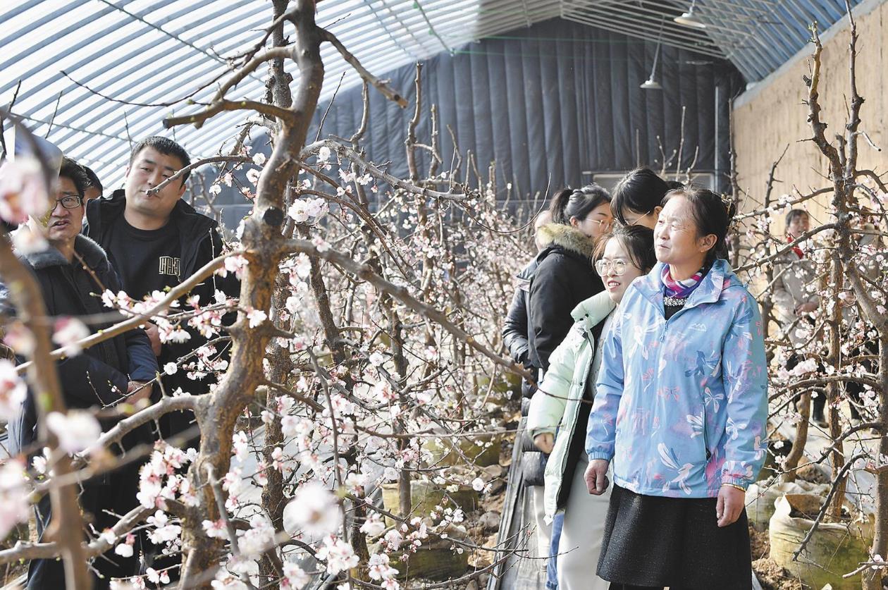 【一宣三促·萬名干部下鄉(xiāng)】春光映希望 共繪振興圖